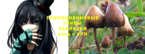 меф Гусь-Хрустальный