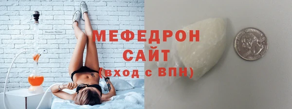 дживик Туринск