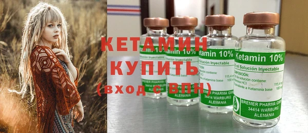 дживик Туринск