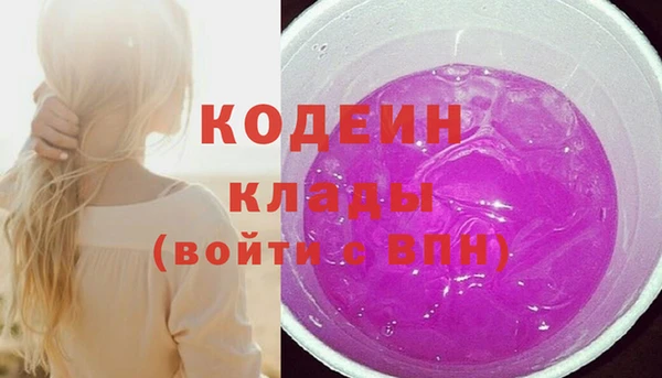 apvp Дмитриев